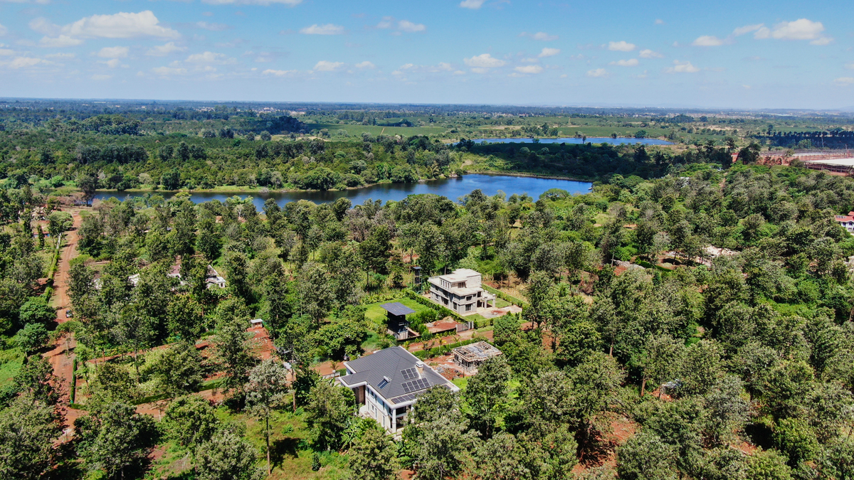 Aerial view of Oaklands homes with lake and distant horizon