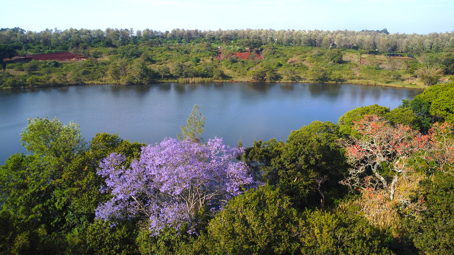 Lake view framed by flowering trees at Oaklands