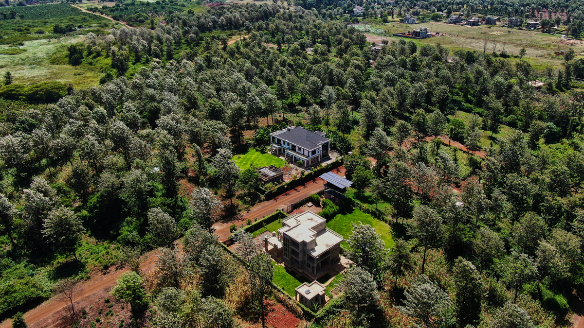 Aerial view of completed homes nestled in Oaklands woodland