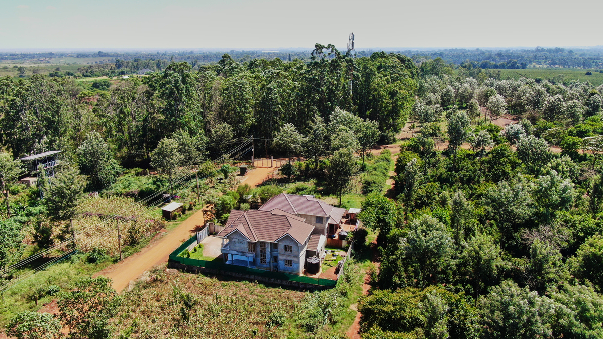 Aerial view of an Oaklands family home surrounded by trees
